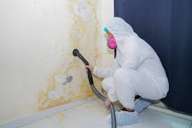 Best Attic Mold Removal  in Carrington, ND